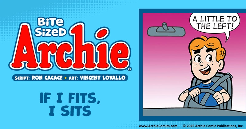 https://cdn.tinyview.com/archie/2025/06/12/236-if-i-fits-i-sits/BSA_TV_Title_Panel.jpg