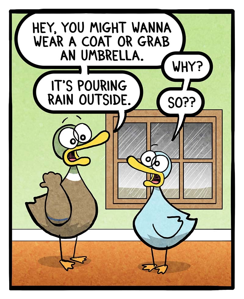 https://cdn.tinyview.com/fowl-language/2024/11/13/rain-denial/rain-denial-1.jpg