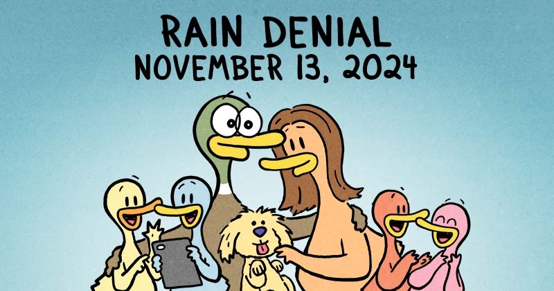 https://cdn.tinyview.com/fowl-language/2024/11/13/rain-denial/rain-denial-header.jpg