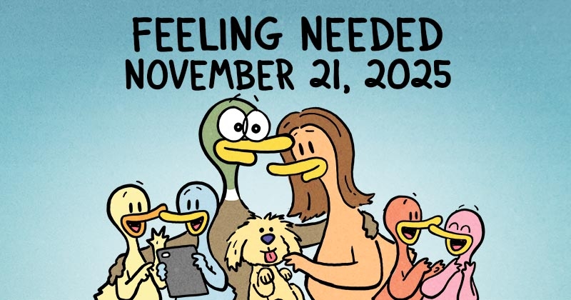 https://cdn.tinyview.com/fowl-language/2025/11/21/feeling-needed/feeling-needed-header.jpg