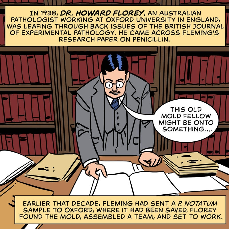 https://cdn.tinyview.com/in-science-we-trust/2025/03/17/who-discovered-penicillin/penicillin-06.jpg