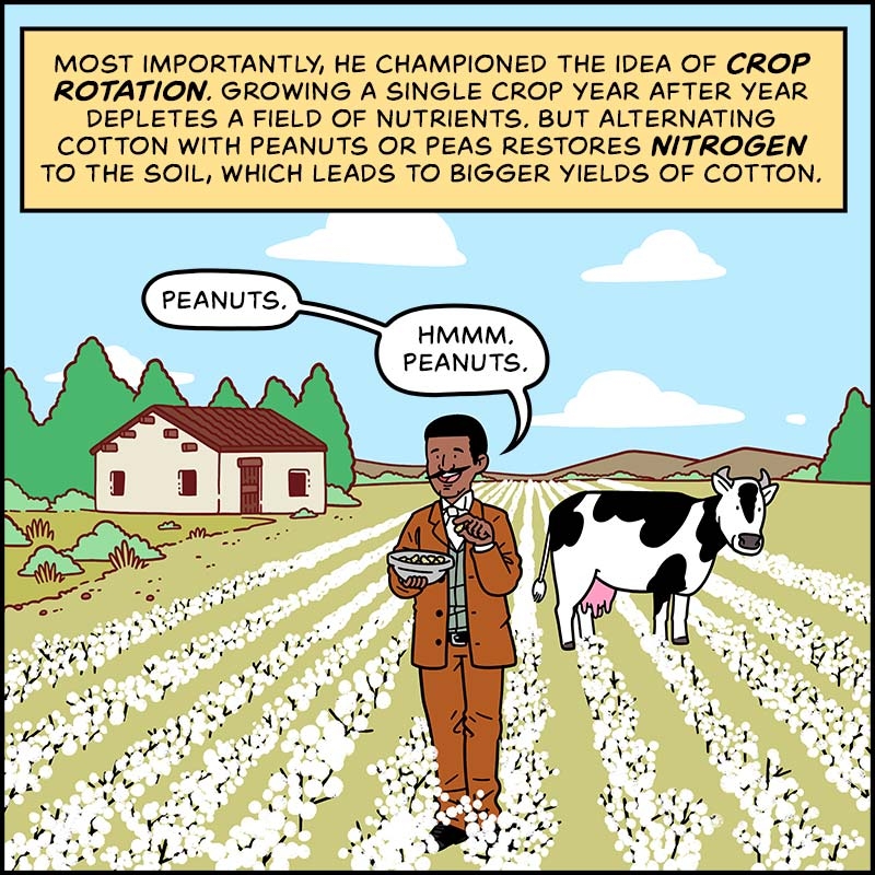 https://cdn.tinyview.com/in-science-we-trust/george-washington-carver/carver-15-crop-rotation.jpg