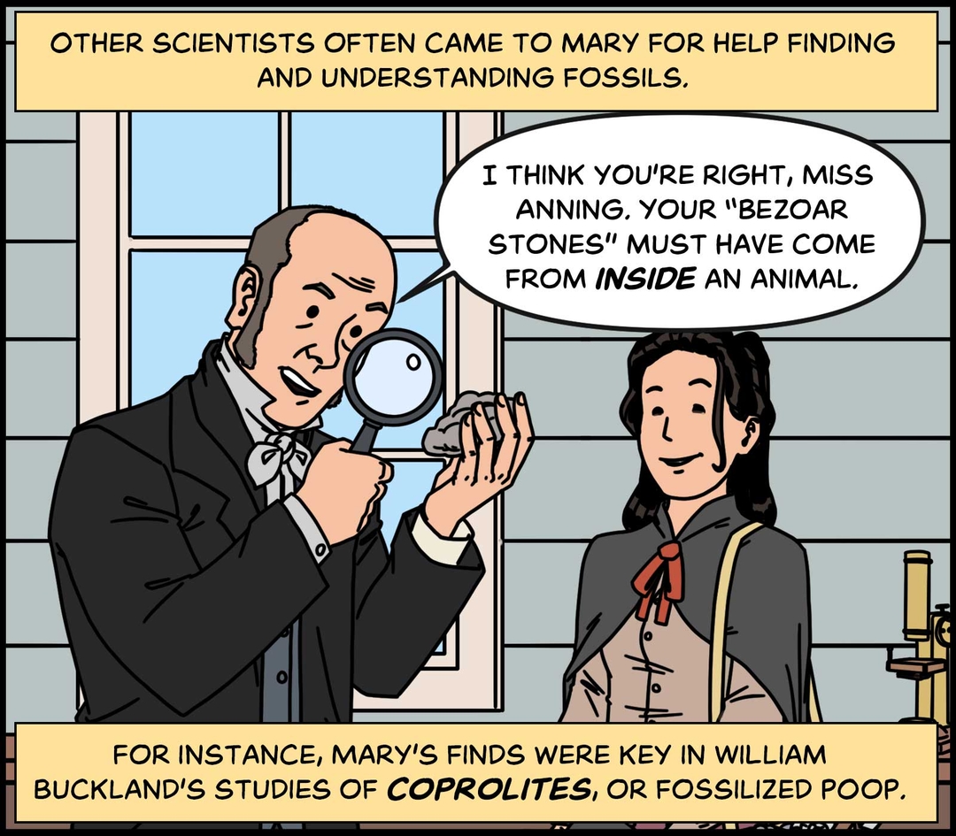 https://cdn.tinyview.com/in-science-we-trust/mary-anning/mary-fossil-poop.jpg