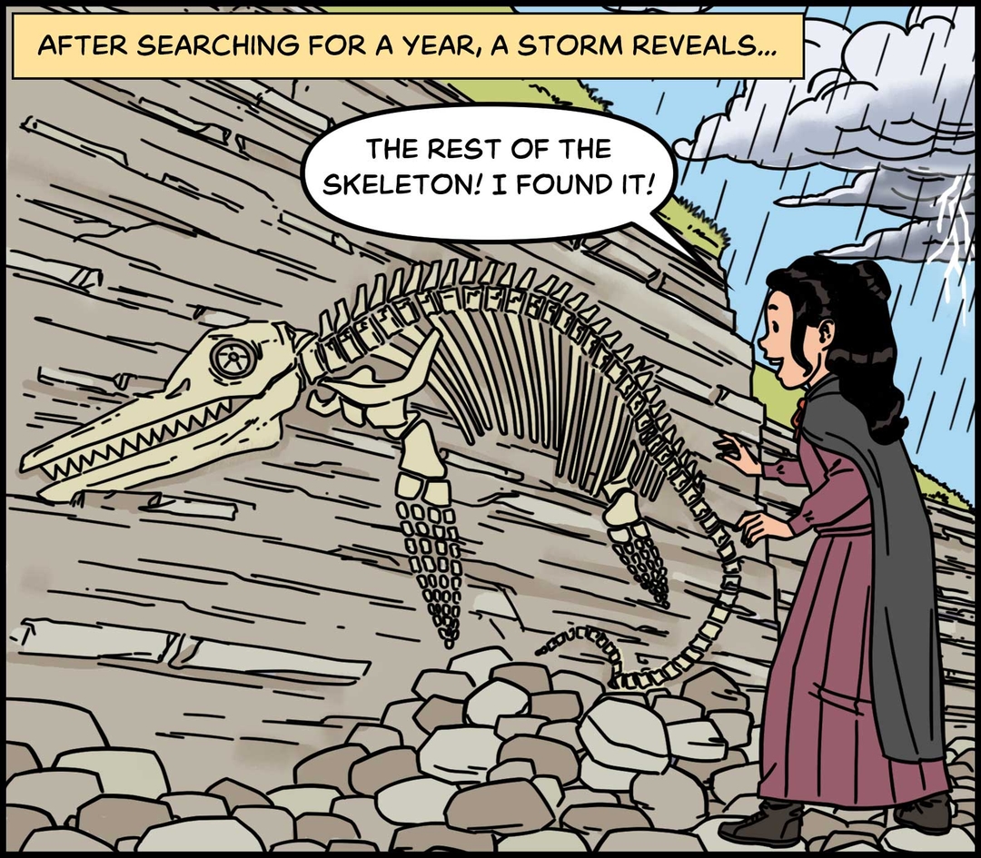 https://cdn.tinyview.com/in-science-we-trust/mary-anning/mary-rest-of-skeleton.jpg