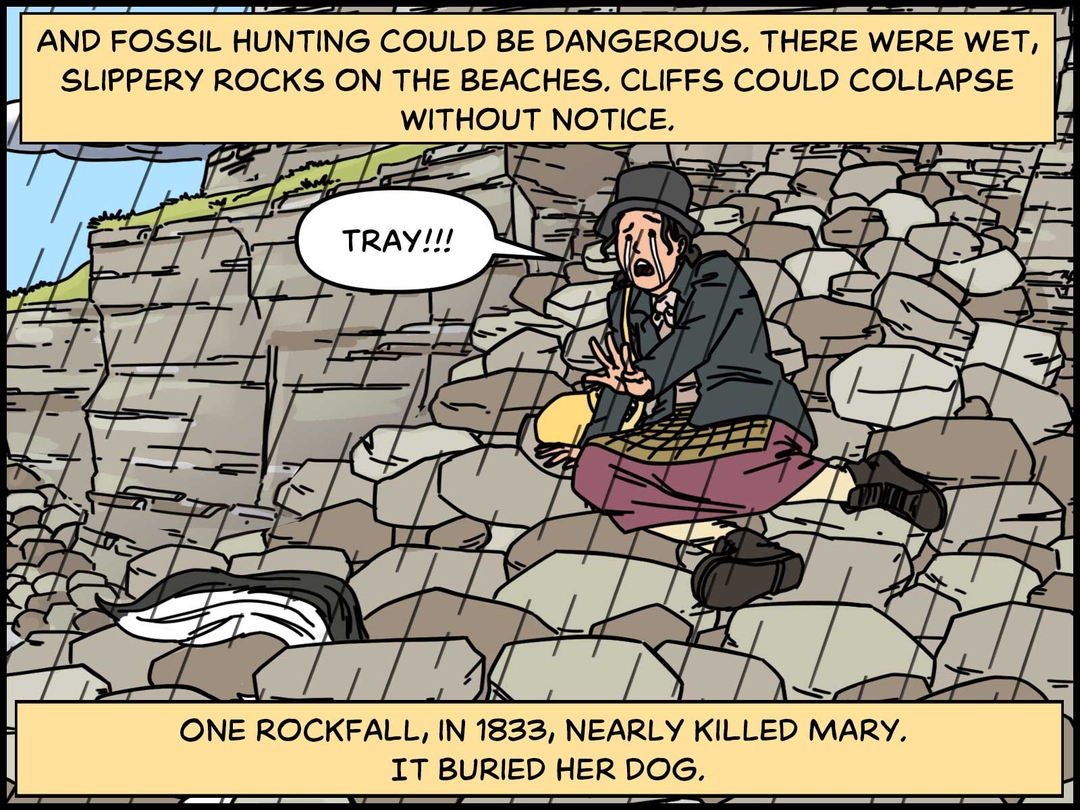 https://cdn.tinyview.com/in-science-we-trust/mary-anning/mary-rockfall.jpg