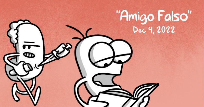 https://cdn.tinyview.com/itchy-feet/2022/12/04/amigo-falso/preview.jpg