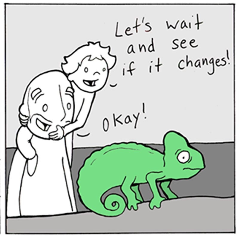https://cdn.tinyview.com/lunarbaboon/2025/09/07/chameleon/panel2chameleon.jpg