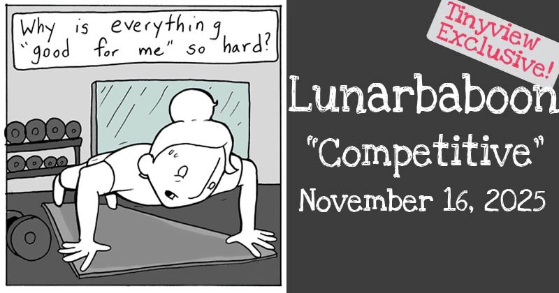 https://cdn.tinyview.com/lunarbaboon/2025/11/16/competitive/preview-2025-11-16T133554.116.jpg