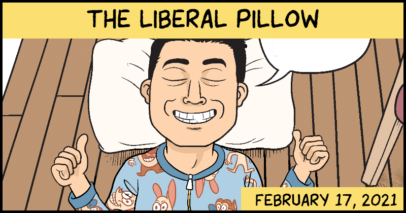 https://cdn.tinyview.com/matt-bors/2021-02-17-the-liberal-pillow/GoodPillows-Preview.png