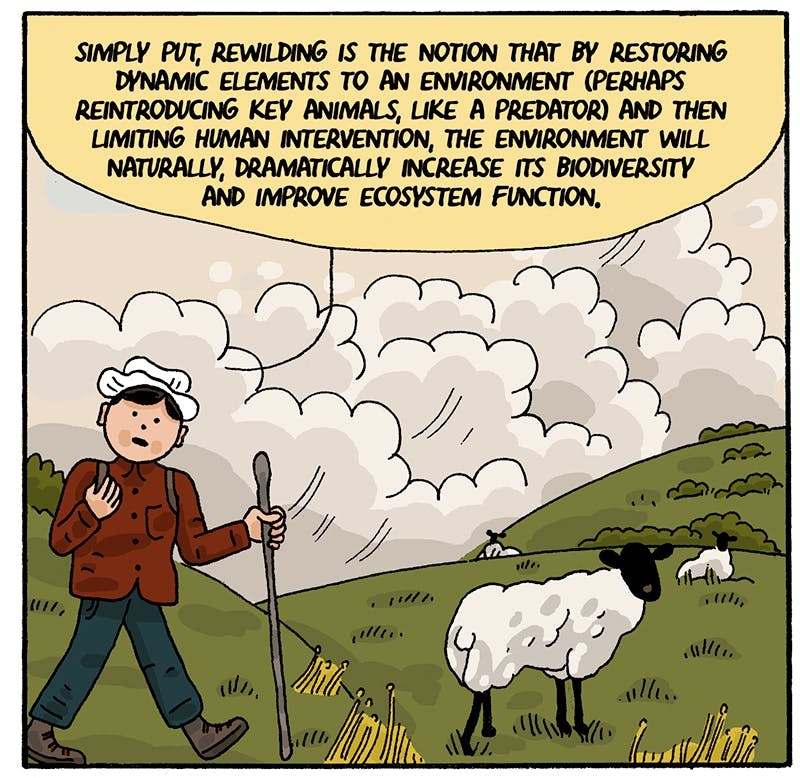 https://cdn.tinyview.com/thenib/2022/07/14/back-to-the-land/rewilding-004-512.jpeg