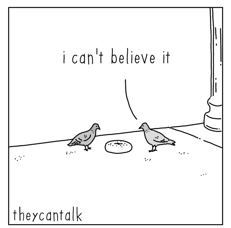 https://cdn.tinyview.com/they-can-talk/2022/05/31/bagel/pigeons_bagel_01.jpg