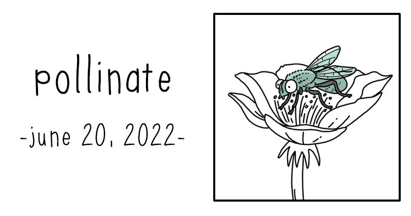 https://cdn.tinyview.com/they-can-talk/2022/06/20/pollinate/fly_pollinate_preview.jpg
