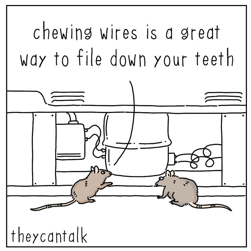 https://cdn.tinyview.com/they-can-talk/2022/08/29/wires/mice_wires1.jpg