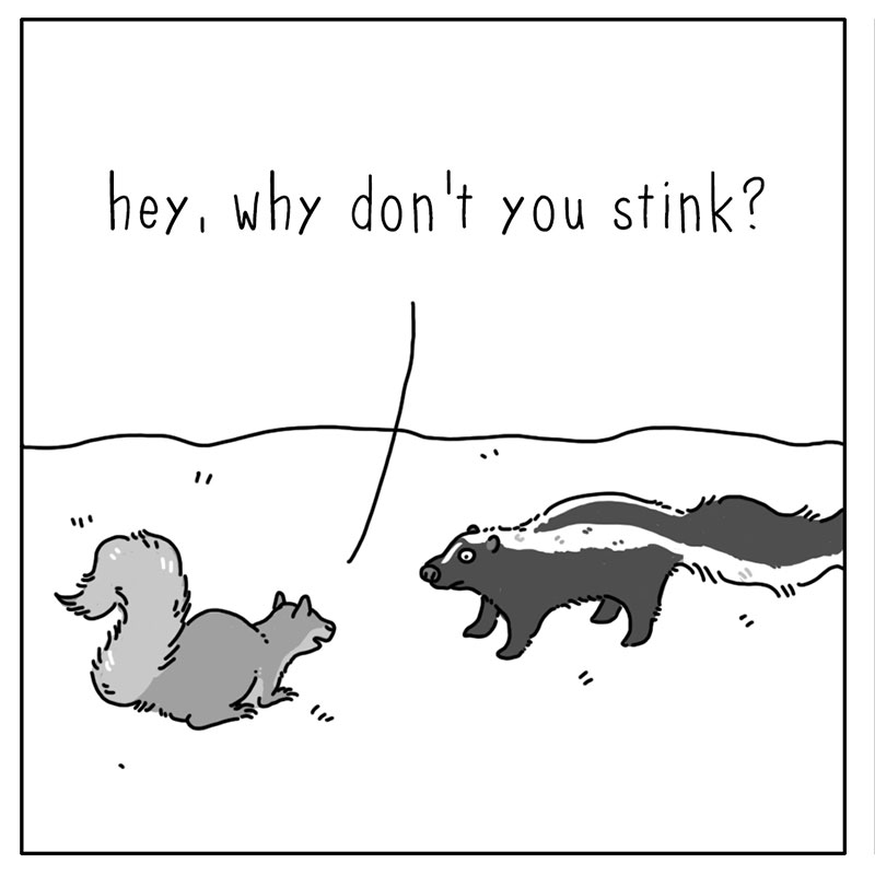 https://cdn.tinyview.com/they-can-talk/2023/01/23/stink/skunk_stink1.jpg