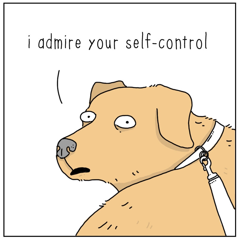 https://cdn.tinyview.com/they-can-talk/2023/02/19/join-me/dog_selfcontrol4.jpg