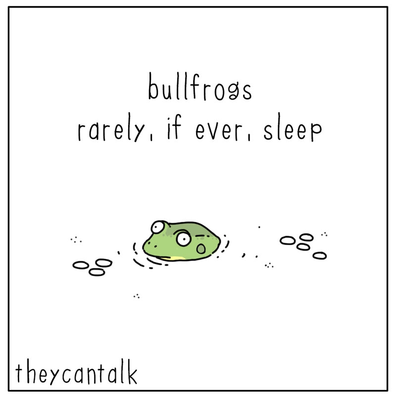 https://cdn.tinyview.com/they-can-talk/2023/02/27/awake/frog_existential1.jpg