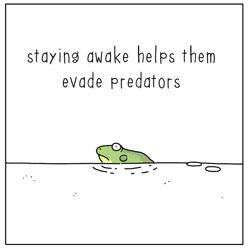 https://cdn.tinyview.com/they-can-talk/2023/02/27/awake/frog_existential2.jpg