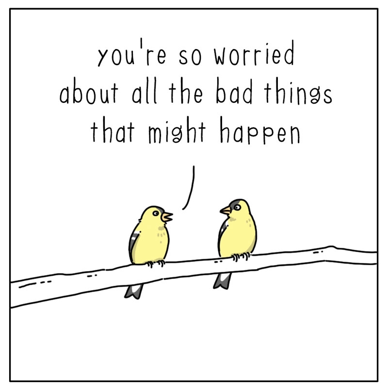 https://cdn.tinyview.com/they-can-talk/2023/03/13/worried/bird_worried1.jpg