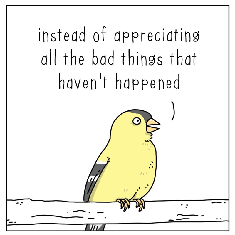 https://cdn.tinyview.com/they-can-talk/2023/03/13/worried/bird_worried2.jpg