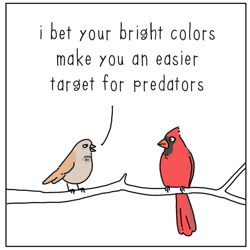 https://cdn.tinyview.com/they-can-talk/2023/04/24/bright/bird_colors1.jpg