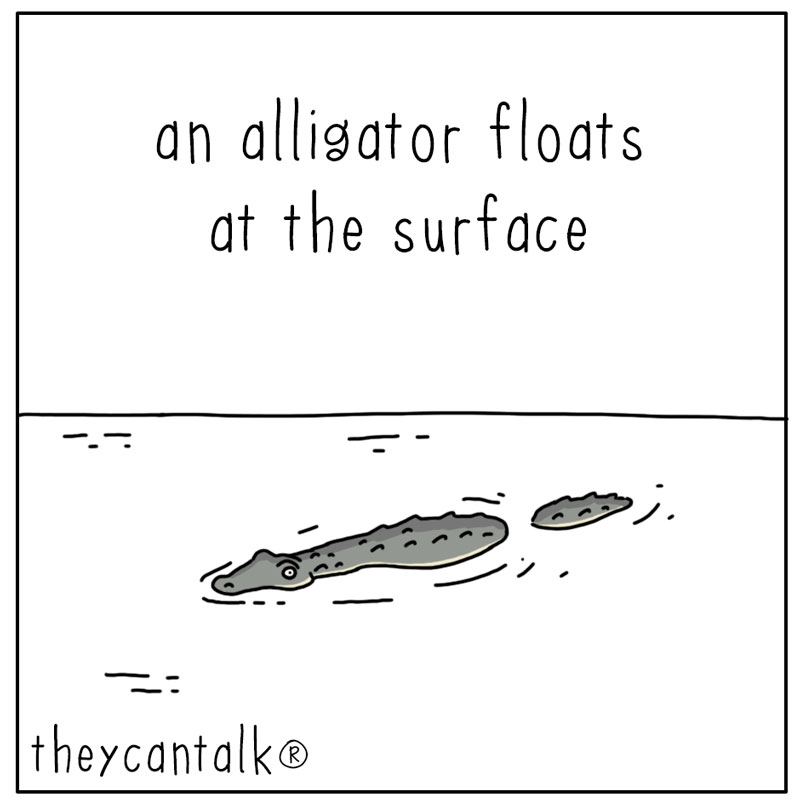 https://cdn.tinyview.com/they-can-talk/2023/08/14/float/alligator_relax1.jpg