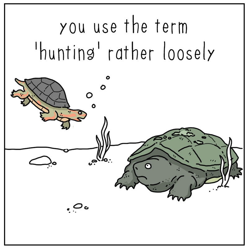 https://cdn.tinyview.com/they-can-talk/2023/10/09/hunting/turtle_hunting5.jpg
