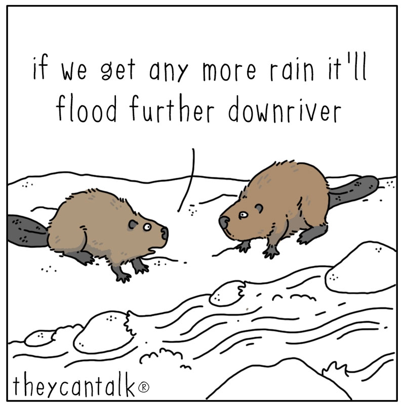 https://cdn.tinyview.com/they-can-talk/2023/10/16/rain/beaver_damit1.jpg