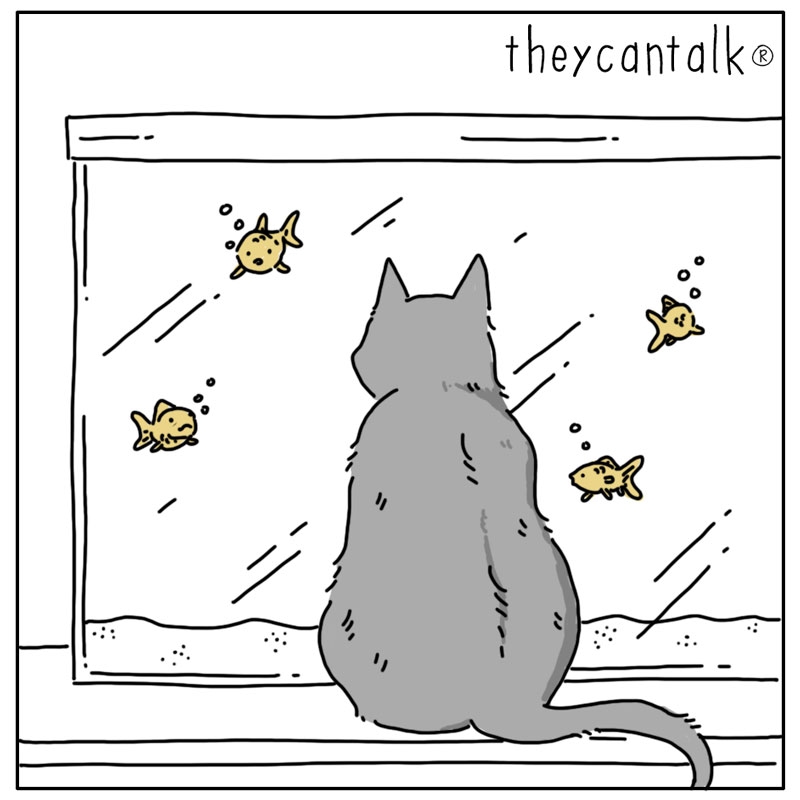 https://cdn.tinyview.com/they-can-talk/2023/11/13/question/cat_drownfish2.jpg