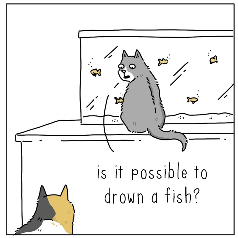 https://cdn.tinyview.com/they-can-talk/2023/11/13/question/cat_drownfish3.jpg