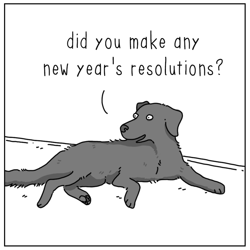 https://cdn.tinyview.com/they-can-talk/2024/01/01/resolutions/cat_resolution1.jpg