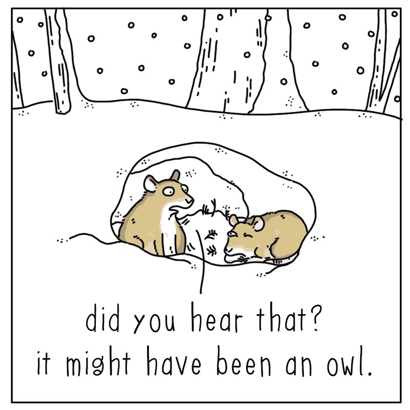 https://cdn.tinyview.com/they-can-talk/2024/01/08/relax/mouse_owl1.jpg