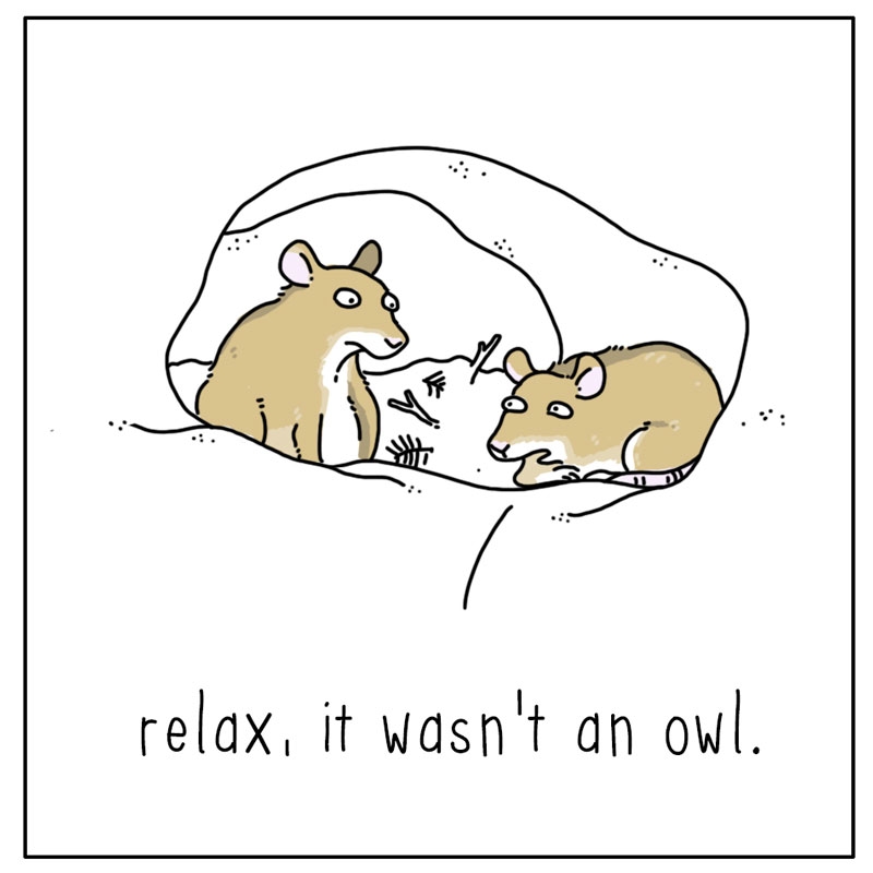https://cdn.tinyview.com/they-can-talk/2024/01/08/relax/mouse_owl2.jpg