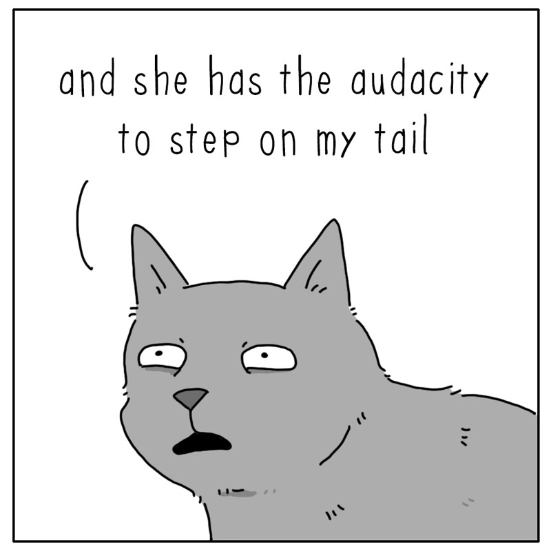 https://cdn.tinyview.com/they-can-talk/2024/02/05/audacity/cat_audacity3.jpg