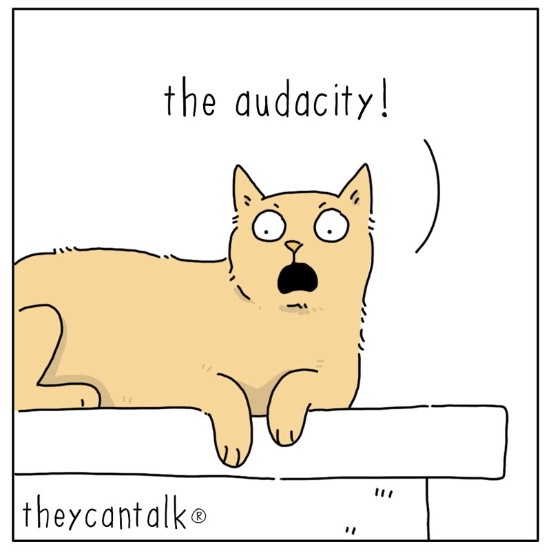 https://cdn.tinyview.com/they-can-talk/2024/02/05/audacity/cat_audacity4.jpg
