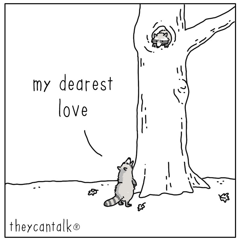 https://cdn.tinyview.com/they-can-talk/2024/02/12/romance/raccoon_romantic1.jpg