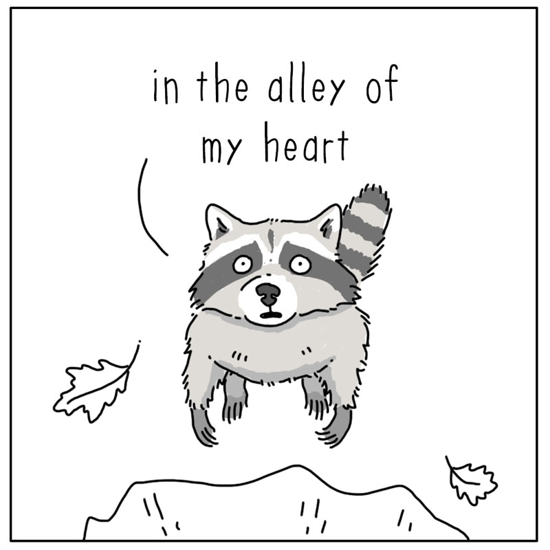 https://cdn.tinyview.com/they-can-talk/2024/02/12/romance/raccoon_romantic2.jpg