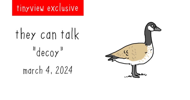 https://cdn.tinyview.com/they-can-talk/2024/03/04/decoy/tinyview_preview.jpg