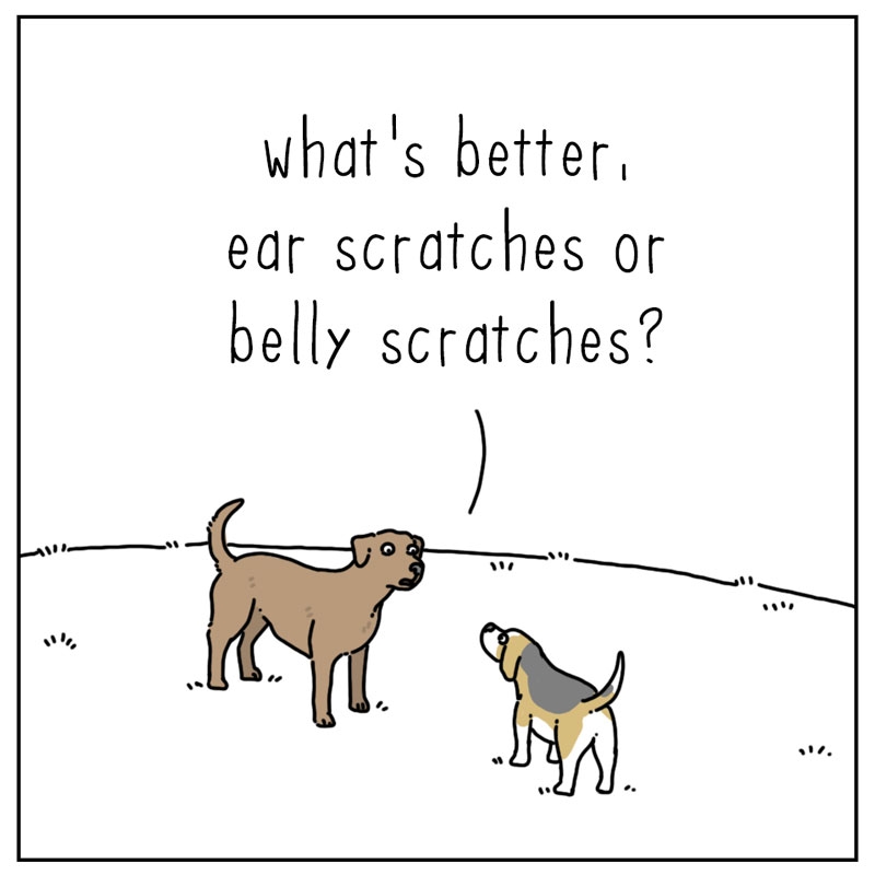 https://cdn.tinyview.com/they-can-talk/2024/04/28/scratches/dog_scratches_1.jpg