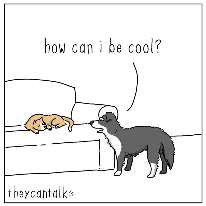 https://cdn.tinyview.com/they-can-talk/2024/05/20/cool/dog_cool1.jpg