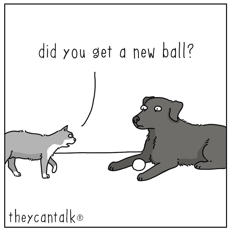 https://cdn.tinyview.com/they-can-talk/2024/05/27/new-ball/dog_newball1.jpg