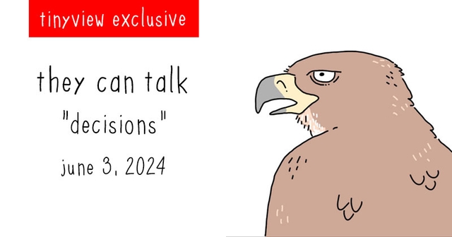 https://cdn.tinyview.com/they-can-talk/2024/06/03/decisions/tinyview_preview.jpg
