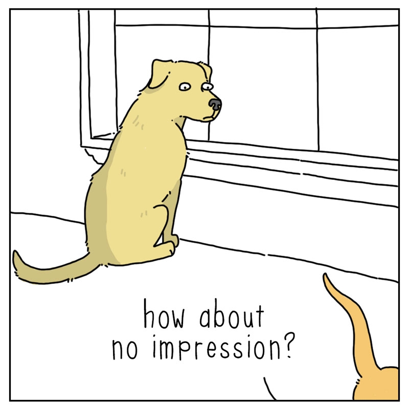 https://cdn.tinyview.com/they-can-talk/2024/06/24/impression/cat_impression3.jpg