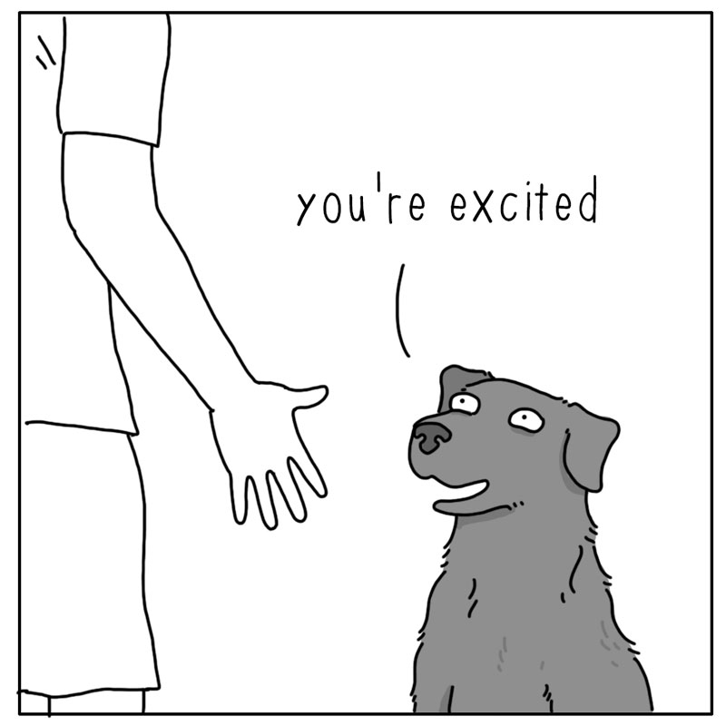 https://cdn.tinyview.com/they-can-talk/2024/07/08/excited/dog_excited1.jpg