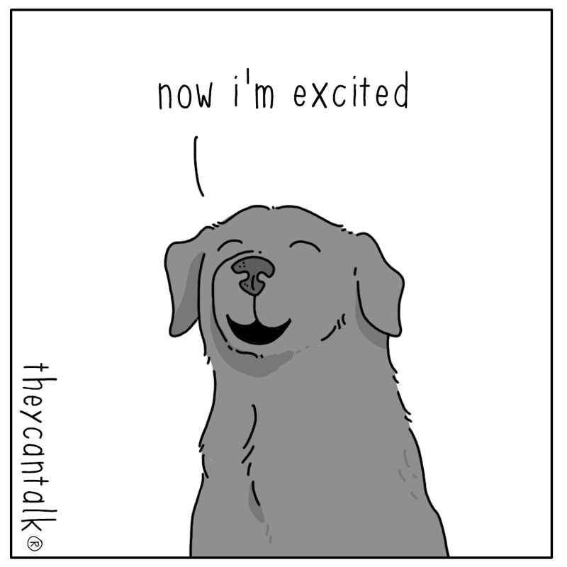 https://cdn.tinyview.com/they-can-talk/2024/07/08/excited/dog_excited2.jpg