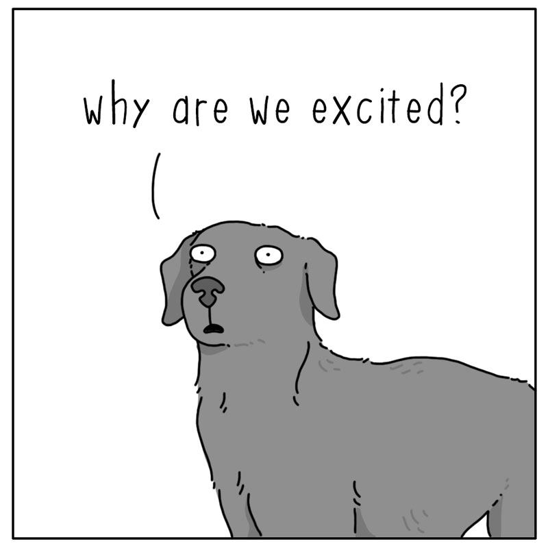 https://cdn.tinyview.com/they-can-talk/2024/07/08/excited/dog_excited4.jpg