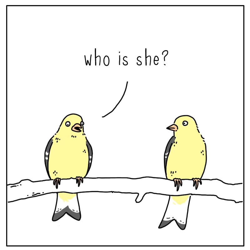 https://cdn.tinyview.com/they-can-talk/2024/07/15/every-morning/bird_everything2.jpg