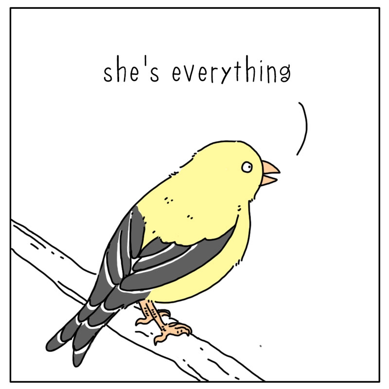 https://cdn.tinyview.com/they-can-talk/2024/07/15/every-morning/bird_everything4.jpg