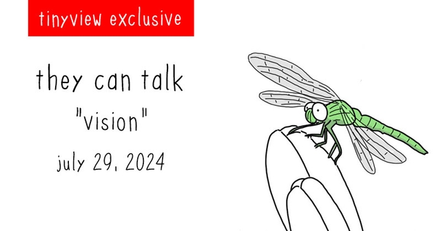 https://cdn.tinyview.com/they-can-talk/2024/07/29/vision/tinyview_preview.jpg