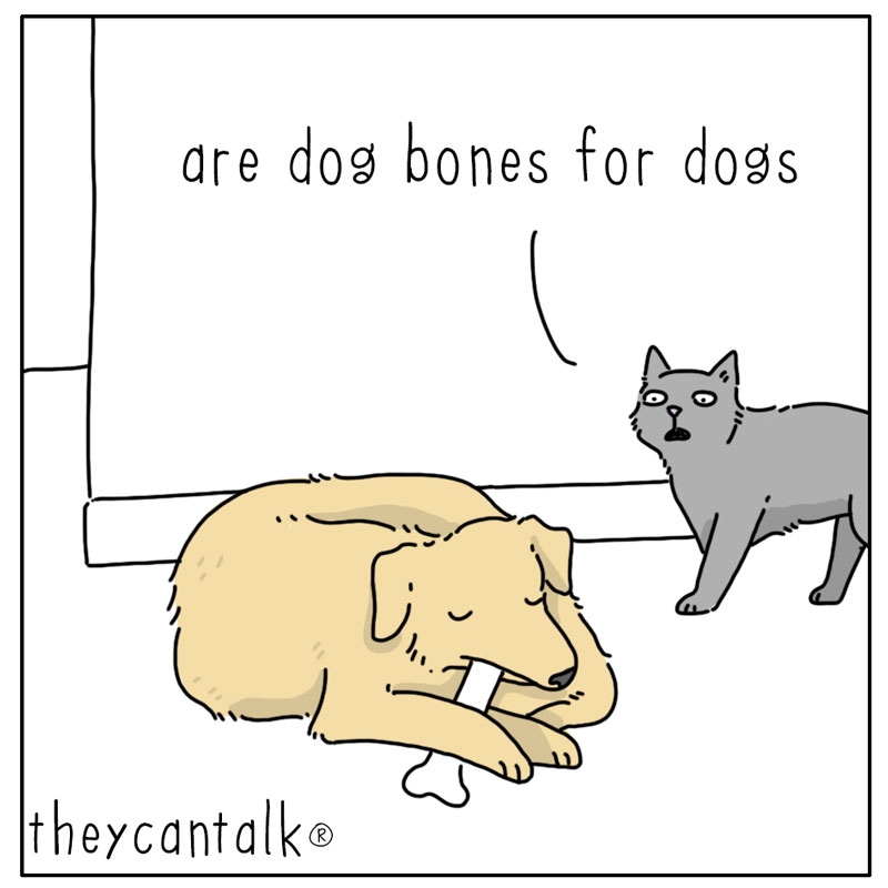 https://cdn.tinyview.com/they-can-talk/2024/08/19/bones/dog_bones1.jpg