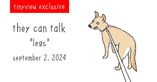 https://cdn.tinyview.com/they-can-talk/2024/09/02/legs/tinyview_preview.jpg